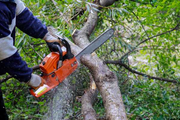 Consejos de seguridad al usar motosierra en el jardín